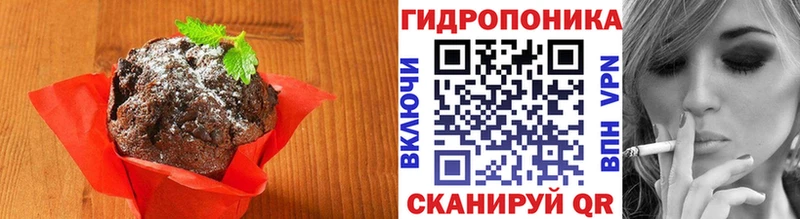 Cannafood конопля  Кедровый 
